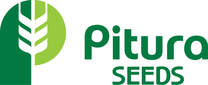 Pitura Seeds